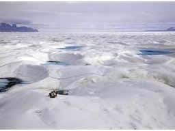 2030 da Kuzey Kutbu nda buzul kalmayacak
